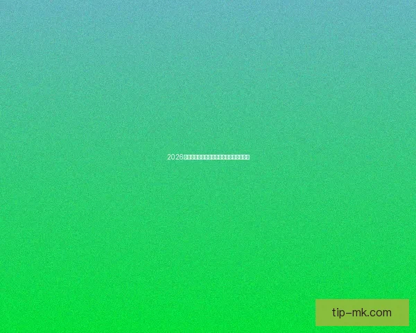 2026世界杯赛程全解析与精彩竞猜策略全面指南