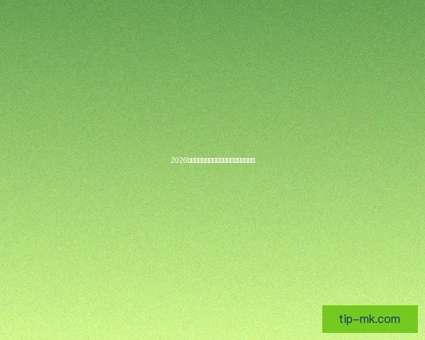 2026世界杯赛程全解析与精彩竞猜策略全面指南