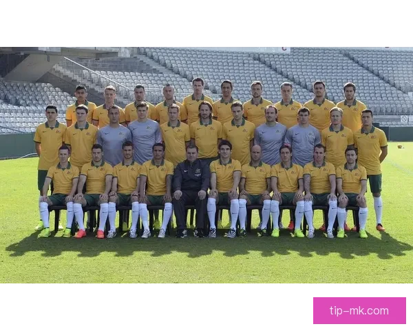 世界杯赛事胜负赔率实时查询与投注技巧全面指南