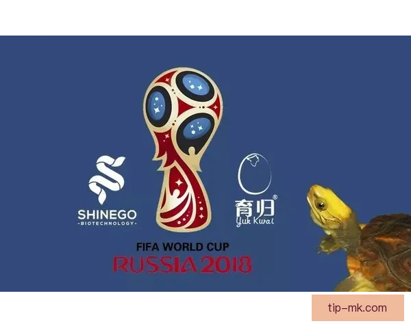 世界杯竞猜在线投注技巧解析助你轻松赢取高额奖金